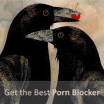 5 Best Porn Blockers and Filters [2022 Edition]
