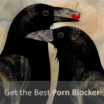 5 Best Porn Blockers and Filters [2025 Edition]